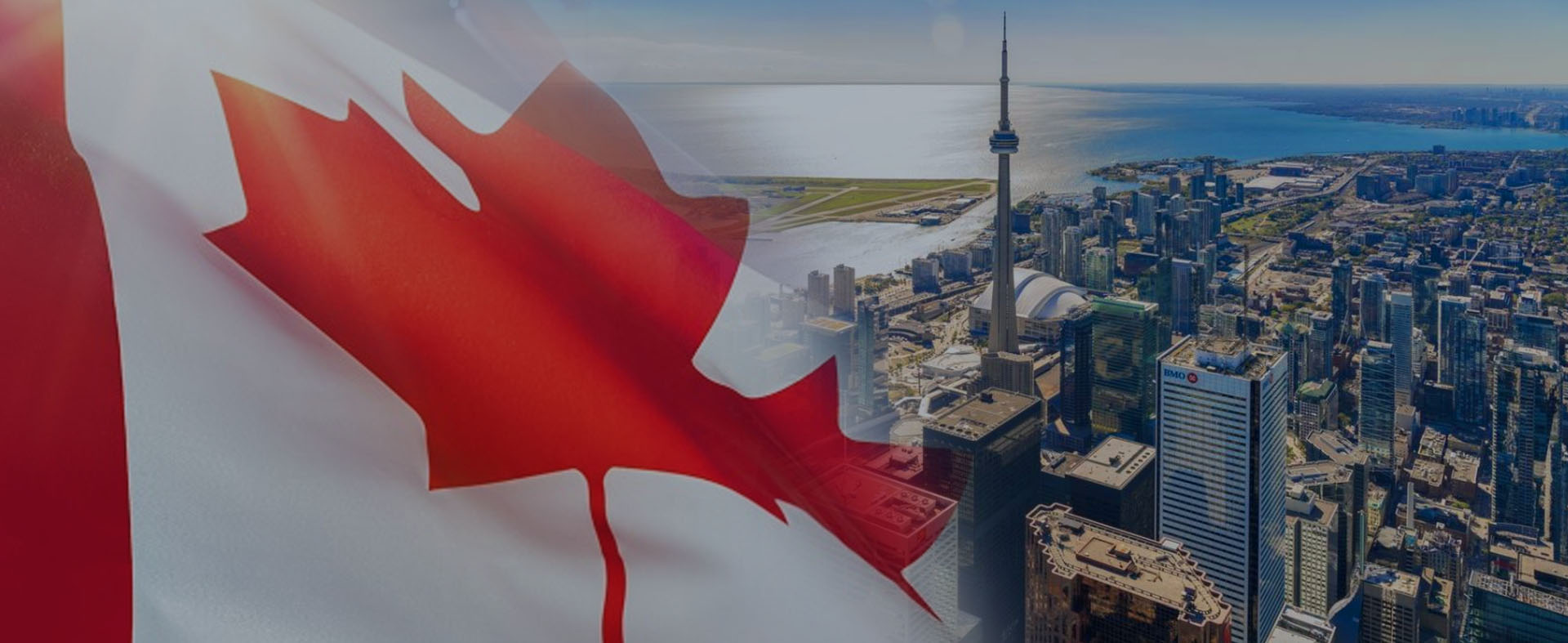 mz-legal-services-brampton-woodbridge-toronto-vaughan-mississauga-header 2